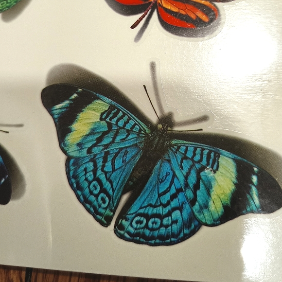 Temporary Tattoos Realistic 3D Butterfly - Picture 2 of 2